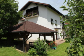 Отель Apartmaji Flucher Turizem, Рогашка Слатина